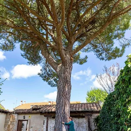 Holiday home Puerto Sanz
